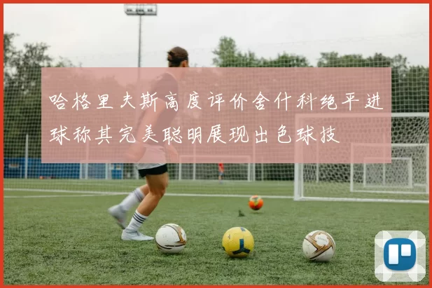 哈格里夫斯高度评价舍什科绝平进球称其完美聪明展现出色球技